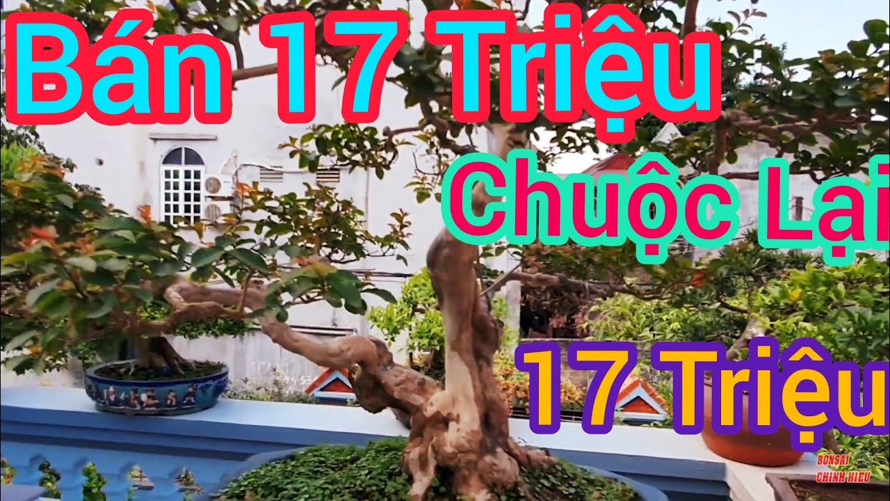 Bán 17 triệu sau một thời gian chuộc lại cũng 17 triệu, quá vui trong lối chơi.