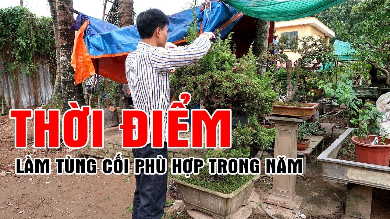 Chia sẻ kỹ thuật làm TÙNG CỐI đúng thời điểm - Phần 1