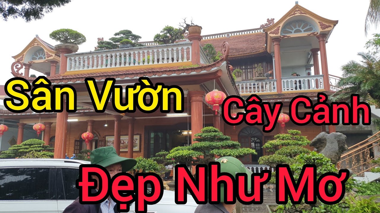 Chiêm ngưỡng tác phẩm Sy Cổ 400 triệu mới mua về và rất nhiều Sy trên sân thượng nhà bác Cường HD.