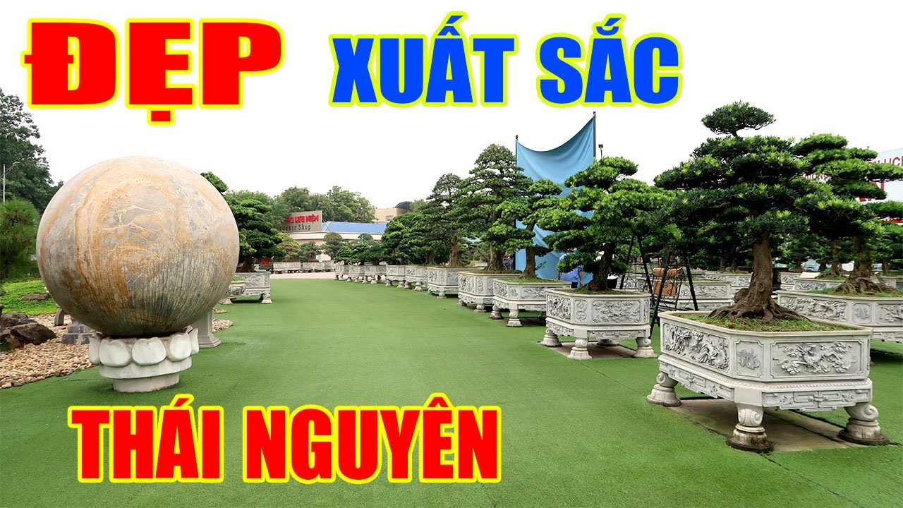 Chưa ai được xem góc vườn đẹp mê ly này nhà bác Dũng Tân Thái Nguyên