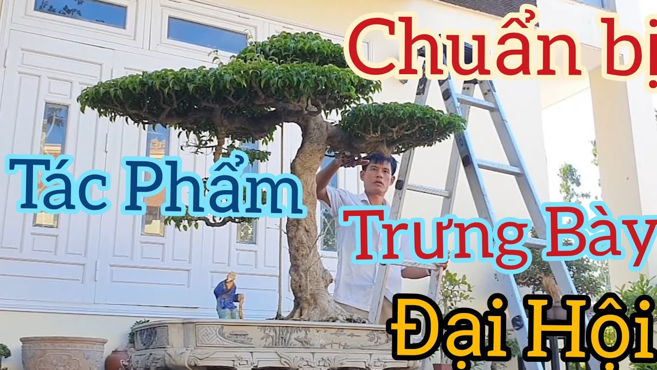 Chuẩn bị một số tp trưng bày nhân dịp Đại Hội Đảng Bộ huyện Nga Sơn nhiệm kỳ 2020 - 2025.