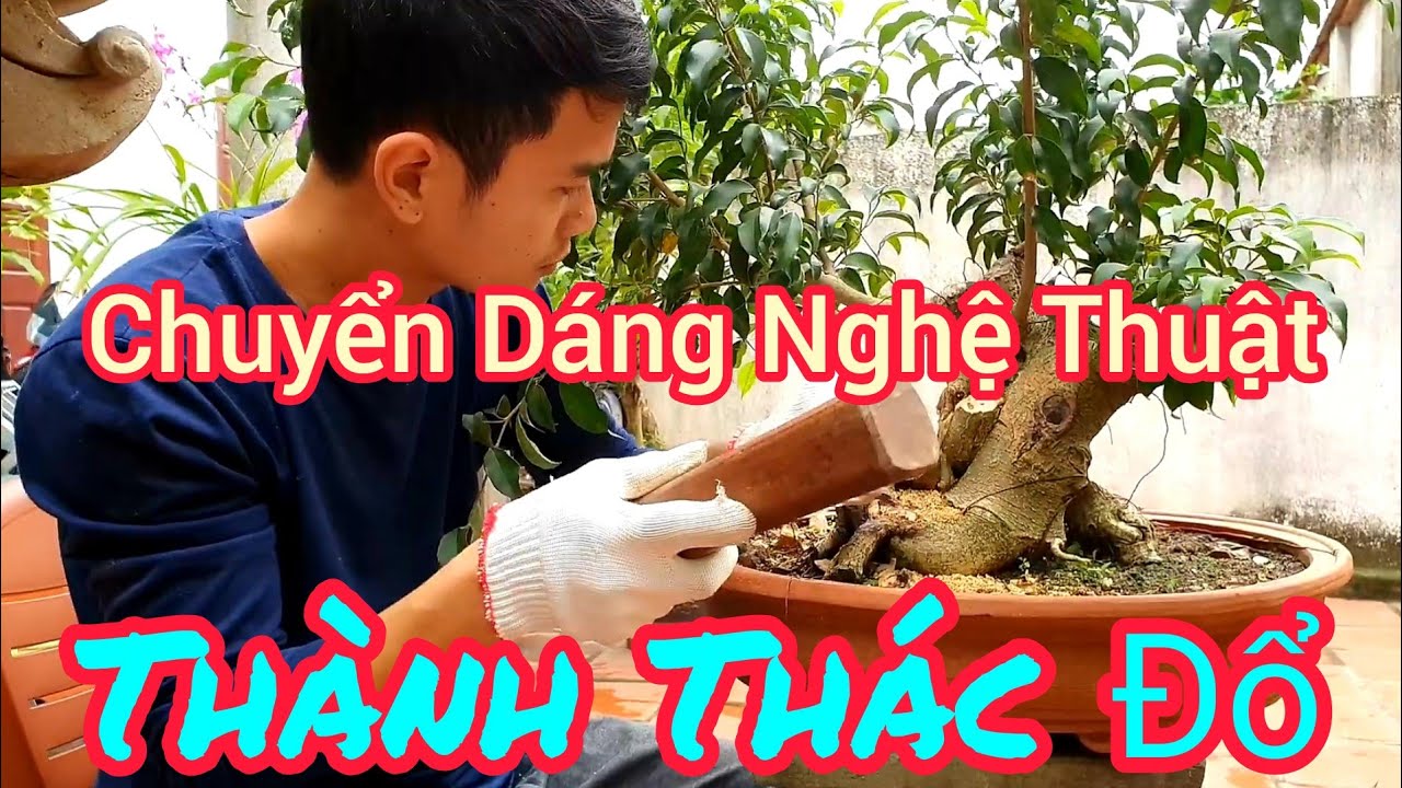 Chuyển dáng nghệ thuật thành dáng Thác Đổ. Mong các bạn cho ý kiến.