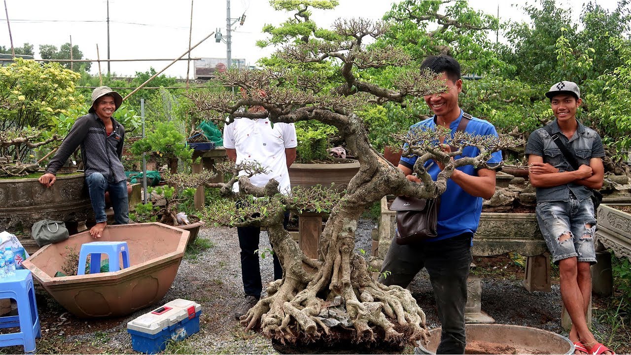 Đẹp thế này rồi mà anh ấy lại phá, theo các bác thì sao