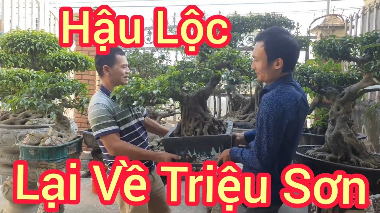 Đi hàng 100 km từ Triệu Sơn xuống Nga Sơn mua được 2 tác phẩm.