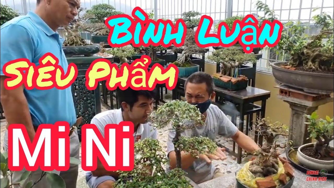 Độc đáo với nhiều tác phẩm nhỏ gọn trên sân thượng tầng 3 nhà anh Hai Lúa Miền Bắc.