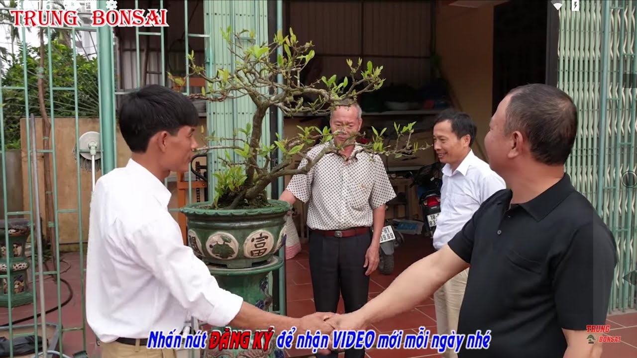 GIAO DỊCH 7 TRIỆU TÁC PHẨM MẪU ĐƠN SONG SIÊU TẠI VƯỜN ANH TOAN HẢI ANH