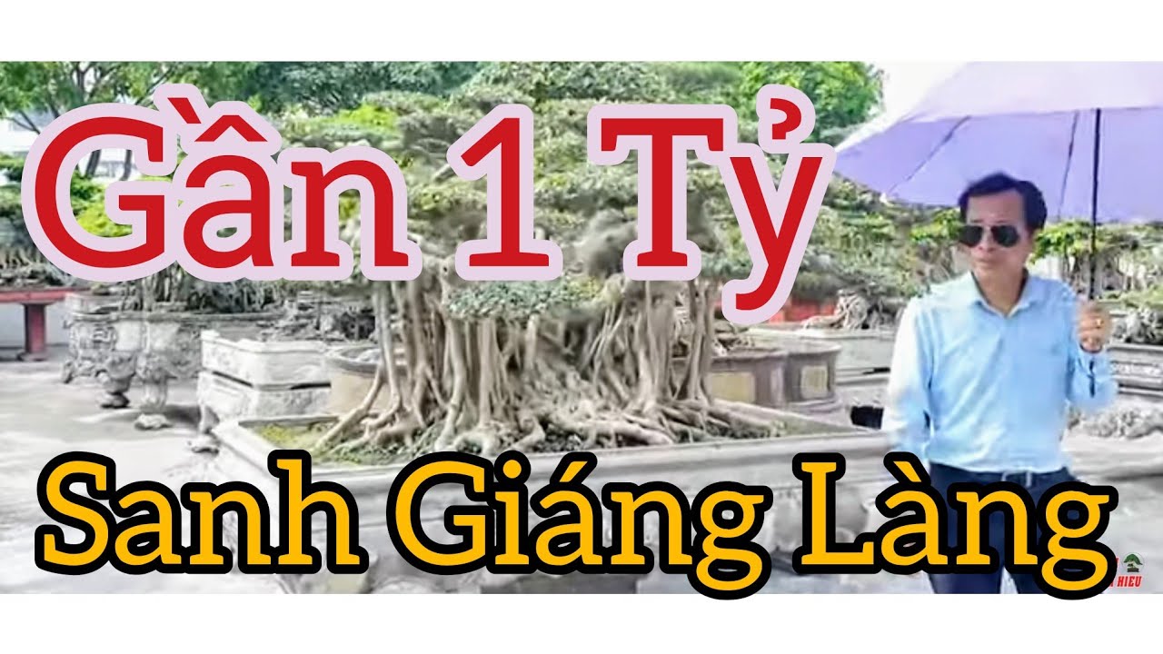 Gần 1 tỷ Sanh Dáng Làng già đẹp và rất nhiều tp Sanh - Tùng tại cty Thuận An - Kinh - Môn - HD