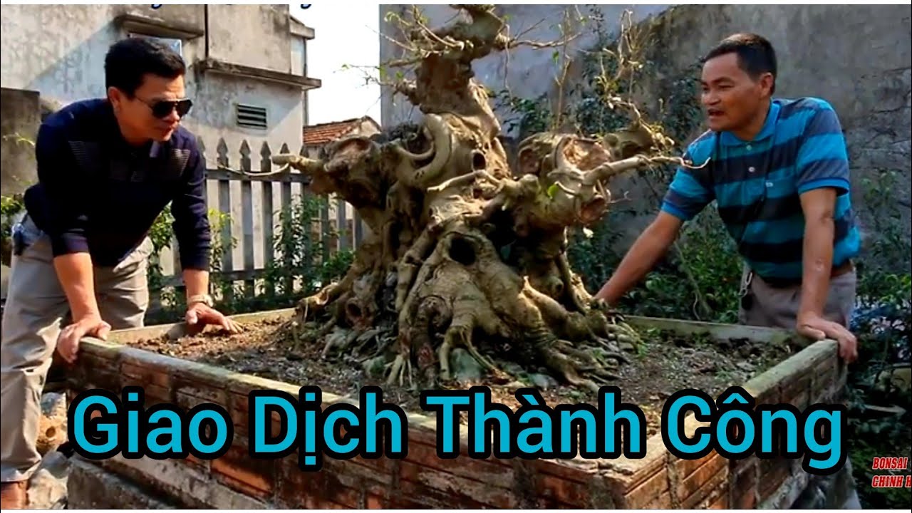 Giao dịch thành công tại vườn anh Thăng Đá Ninh Bình.