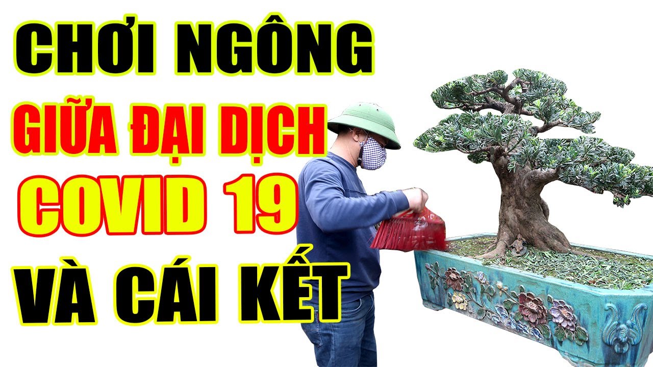 Giữa đại dịch COVID 19 mà bác ấy quá liều cả nhà ạ