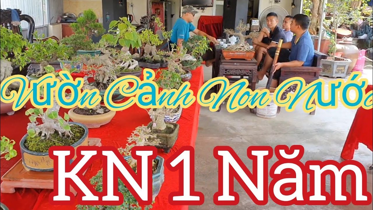 Hơn 100 tp để bàn tại buổi KN 1 năm Vườn Cảnh Non Nước - Ninh Bình.