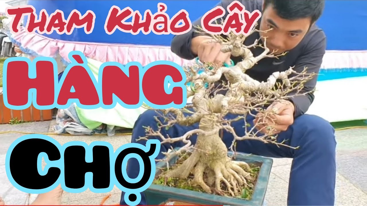 Một số tác phẩm giá hợp lý tại gian hàng chợ triển lãm Thanh Hóa.