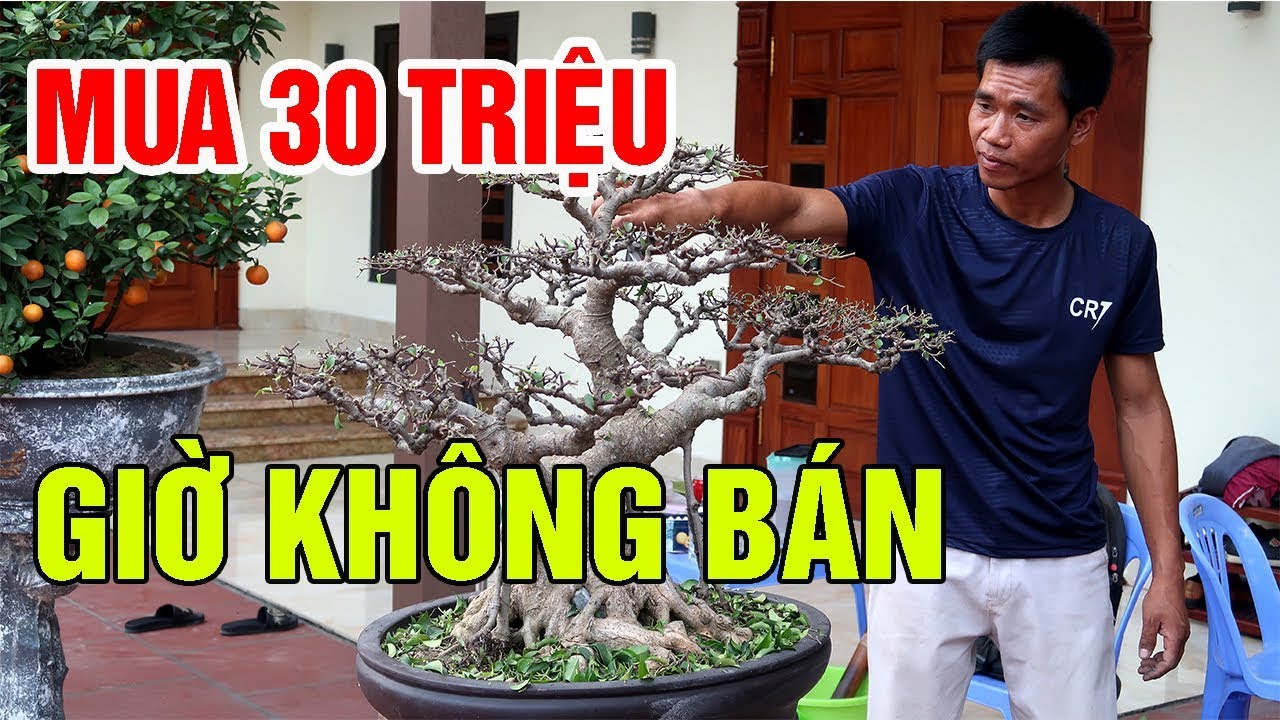 Mua 30 triệu về gọi thợ đến sửa mà giờ bác chủ không muốn bán