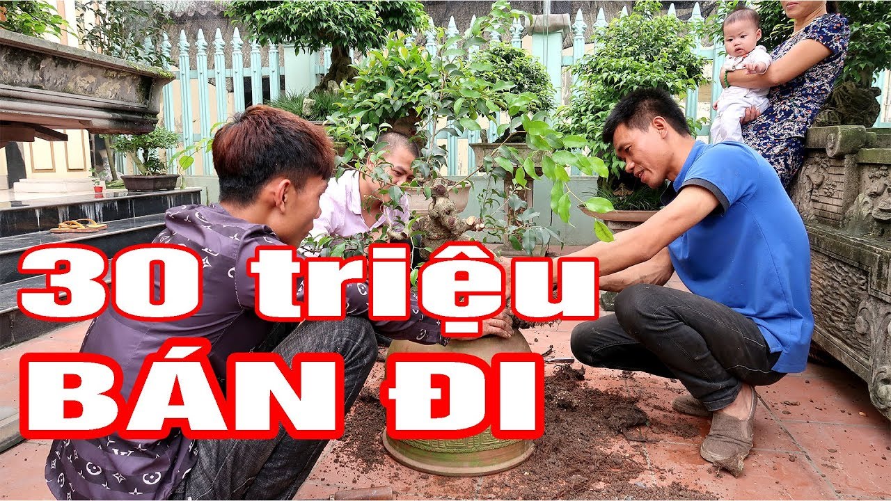 Mua 6 triệu về nhờ thợ sửa, có khách trả 30 triệu không bán