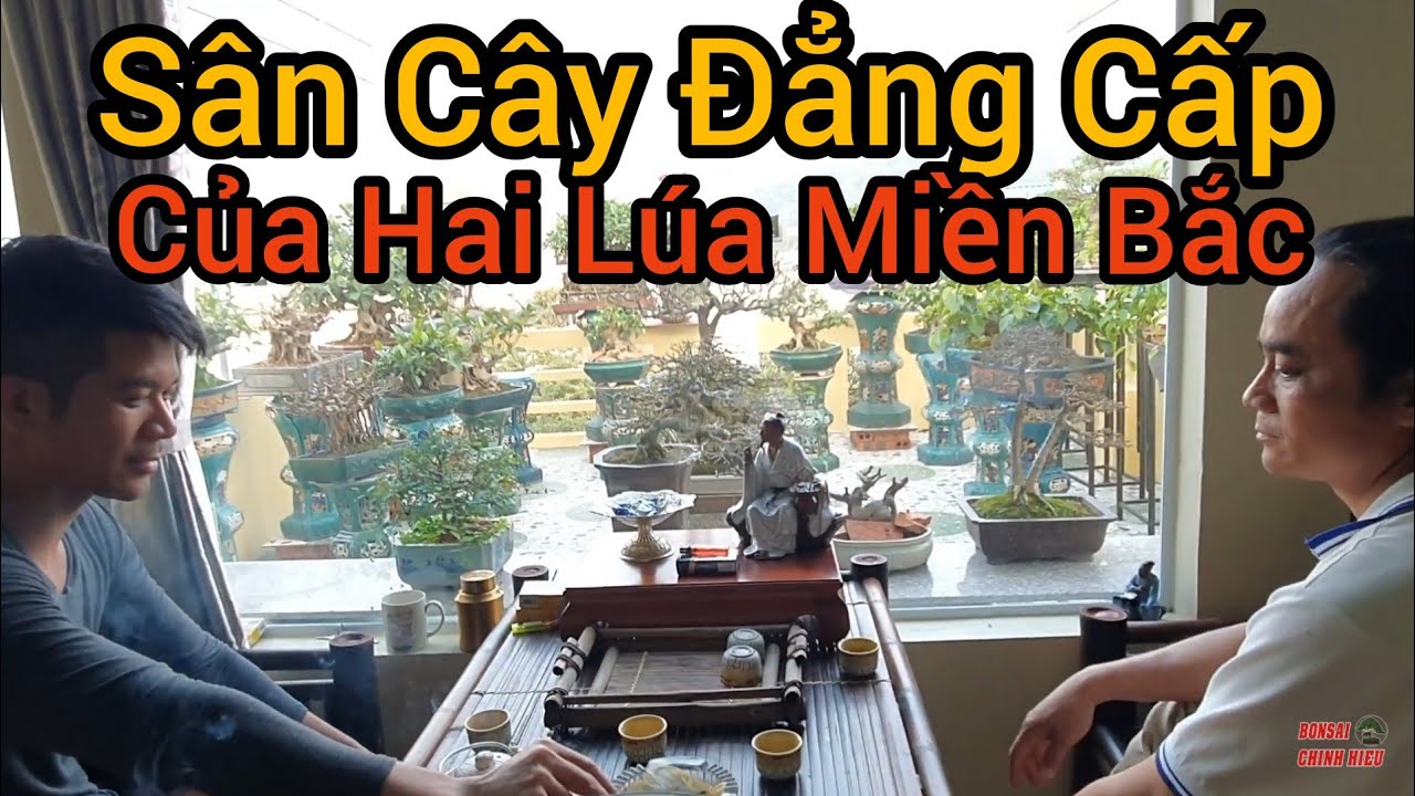 Nhiều tác phẩm và phôi quý chủ nhân đang giấu trên sân thượng tầng 3 đã bị bại lộ.