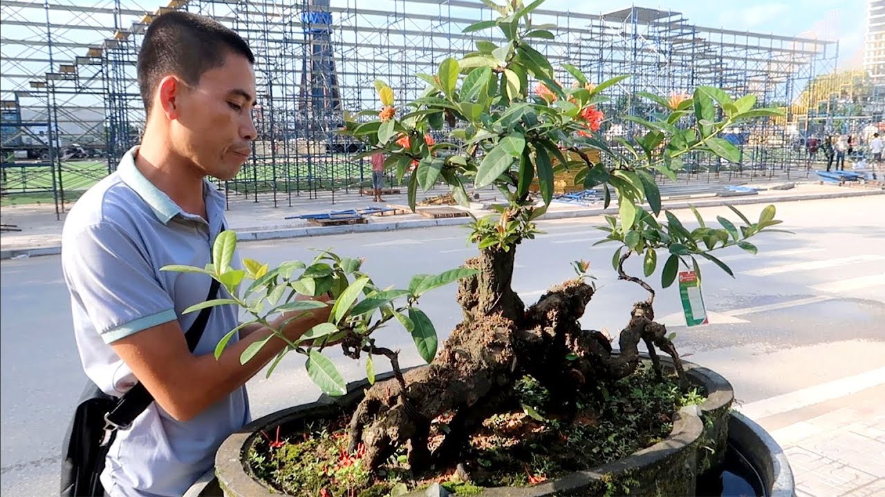 Những tác phẩm đẹp nhất tại Thái Nguyên quay lại cho quý vị xem