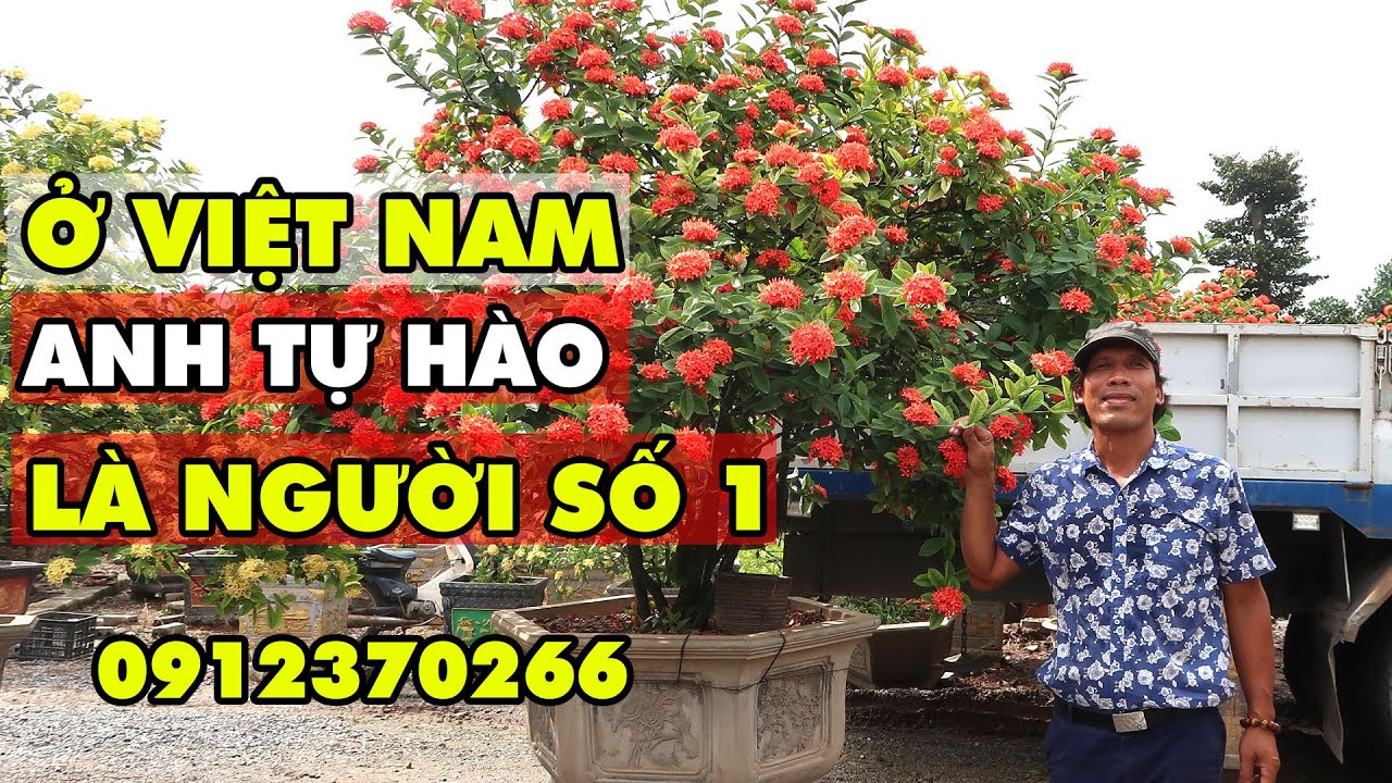 Ông Vua hoa Mẫu Đơn ở Việt Nam khoe 5 vườn mới khiến cả nước bất ngờ