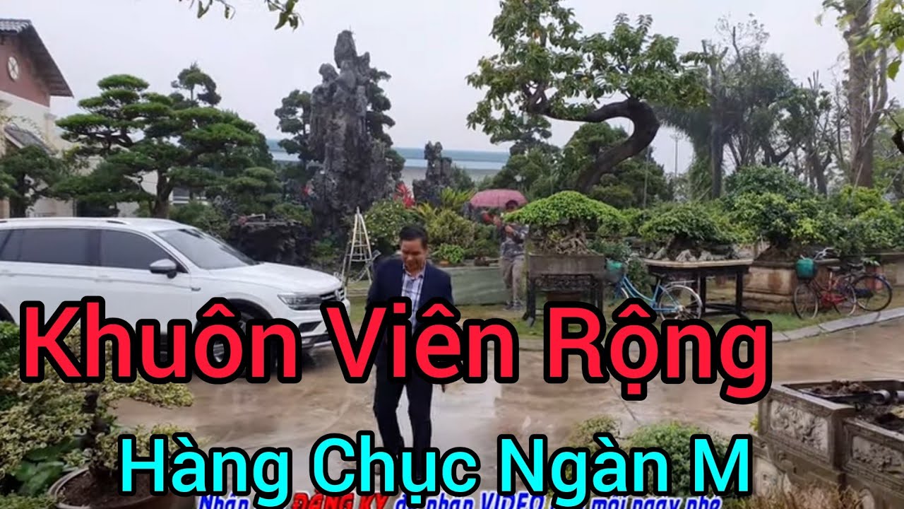 Phôi Nam Điền mới mua 400 triệu và hàng trăm tác phẩm cây cảnh trong khuôn viên 8 ngàn m tại HD.