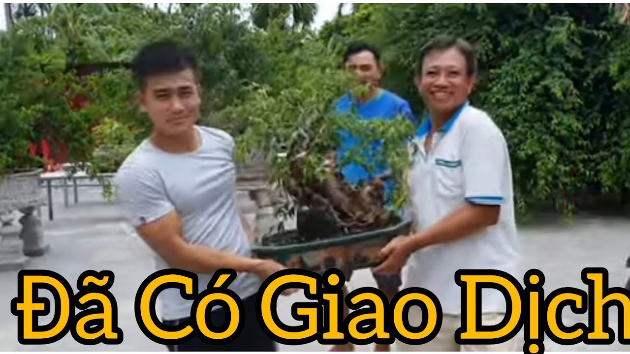 Phôi khủng 1 tỷ 500 triệu và cuộc giao dịch nhỏ tại nhà anh Duẩn - Hải Hậu.