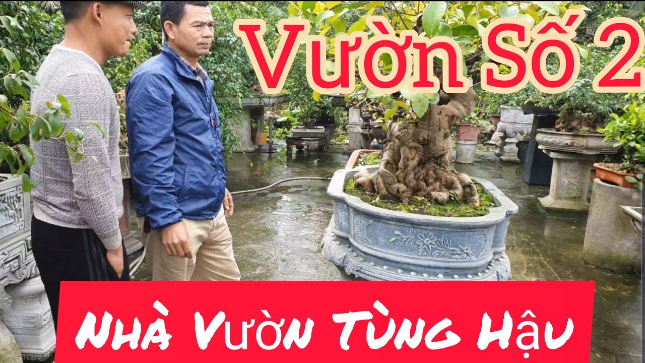 Phóng Sự vườn số 2 nhà vườn Tùng Hậu - Hải Dương.