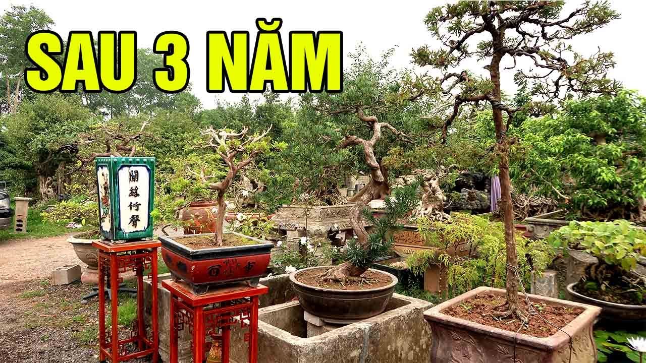 Quá bất ngờ vườn cây của anh Nông Dân sau 3 năm quyết tâm xây dựng