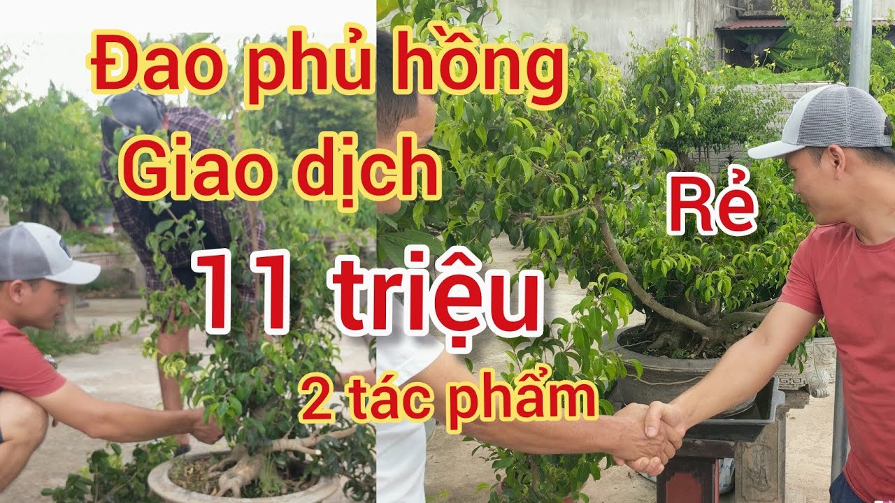 RẺ QUÁ 11 TRIỆU 2 TÁC PHẨM ĐAO PHỦ HỒNG GIAO DỊCH CHO THANH BỐNG 2 CỐT NAM ĐIỀN CHỈ TRONG NHÁY MẮT