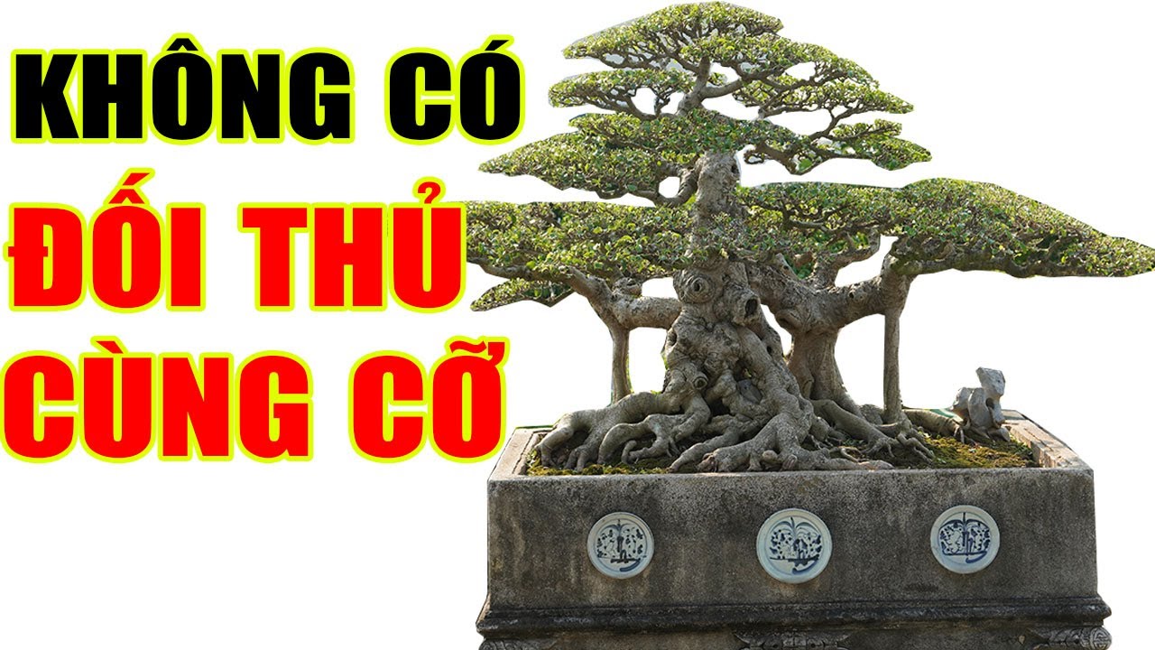 Sau 4 tháng kể từ triển lãm Thanh Hóa, nhìn "THIÊN TRỤ" thay da đổi thịt