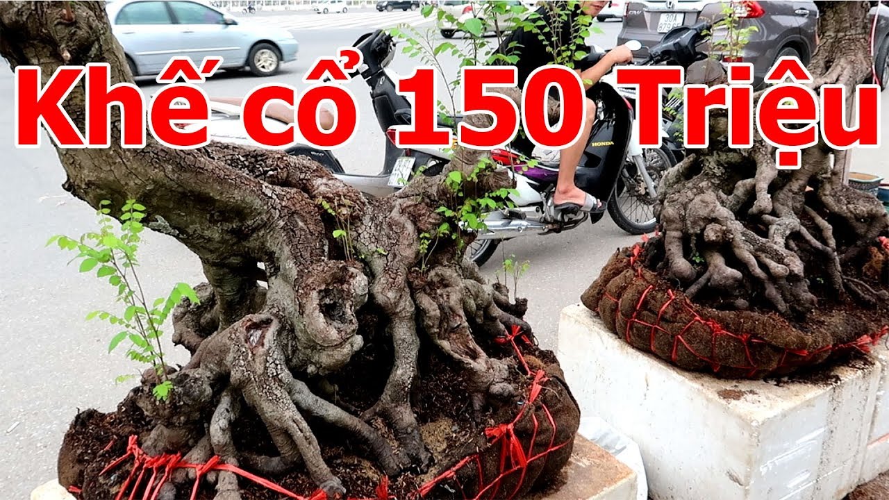 Sốc với đôi khế cổ 150 triệu tại Hà Nội