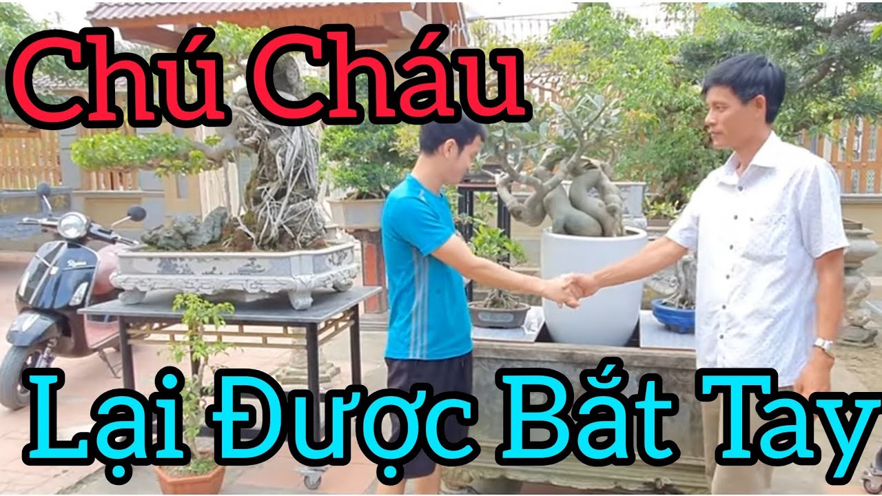 Sưu tầm được cái bể xi măng cũ Cháu Đạt đã nhượng lại cho Bon Sai Chinh Hieu.