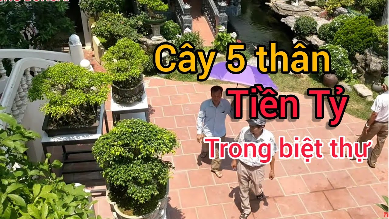 THĂM QUAN ngôi biệt thự và những tác phẩm ĐẸP TIỀN TỶ CỦA ANH VÂN THANH HÓA