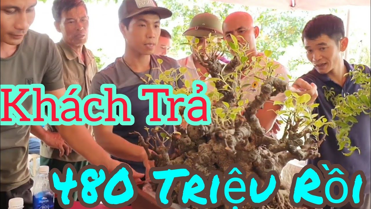 TP Sy Đồng Tiền mua bên Nhật về anh Chương Phạm trả 400 triệu nhưng không ra và nhiều vụ gd tại.