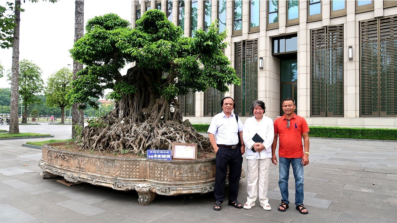 Tác phẩm Sanh lá móng "CỬU LONG TRANH CHÂU" cổ và quý nhất Việt Nam