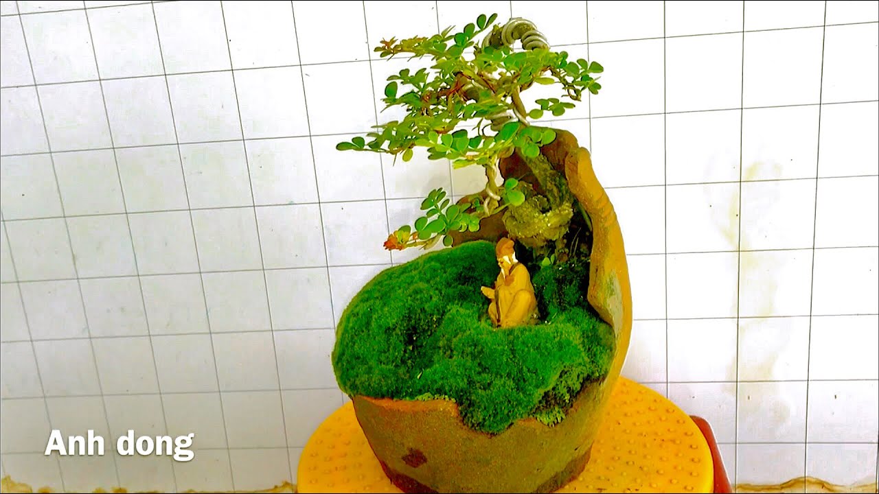 Tác phẩm bonsai mini lạ