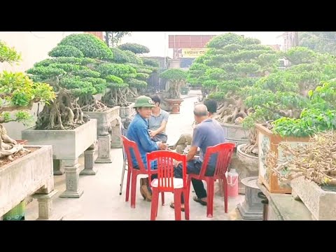 Thăm vườn cây nhà Bác Mậu Phong Ninh Bình.