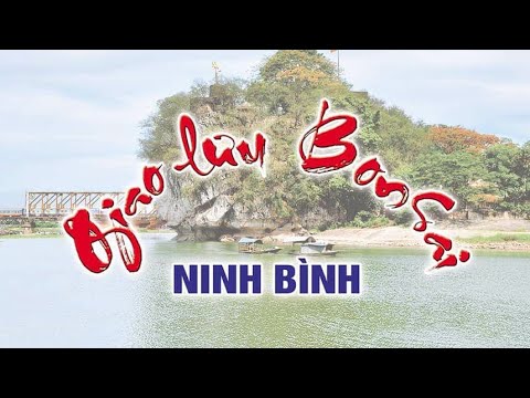 Tổng hợp những tp Cây Cảnh trưng bày giao lưu tại Nhà Văn hóa Ninh Khánh