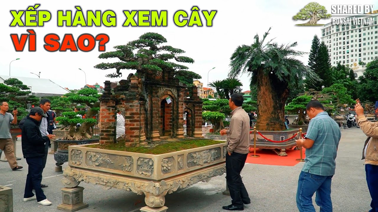 Ý tưởng tạo tác tuyệt vời của chậu Sanh Cổng Làng hút mắt khách tham quan