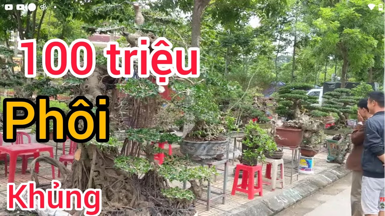 báo giá 100 triệu phôi khủng mua về chỉ việc chơi được anh bạn trẻ báo giá tại TLCC BẮC NINH