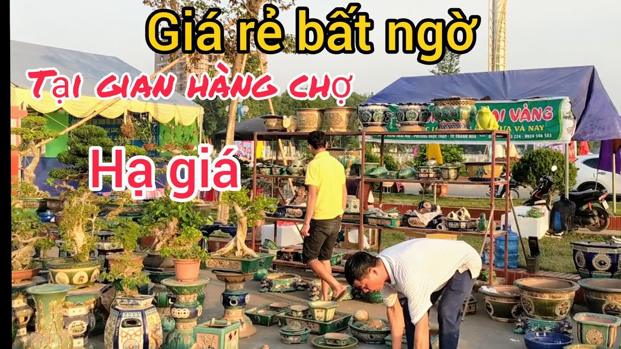 chậu cổ hạ giá nỗ cũng bán tại tại gian hàng chợ TLCC THANH HÓA