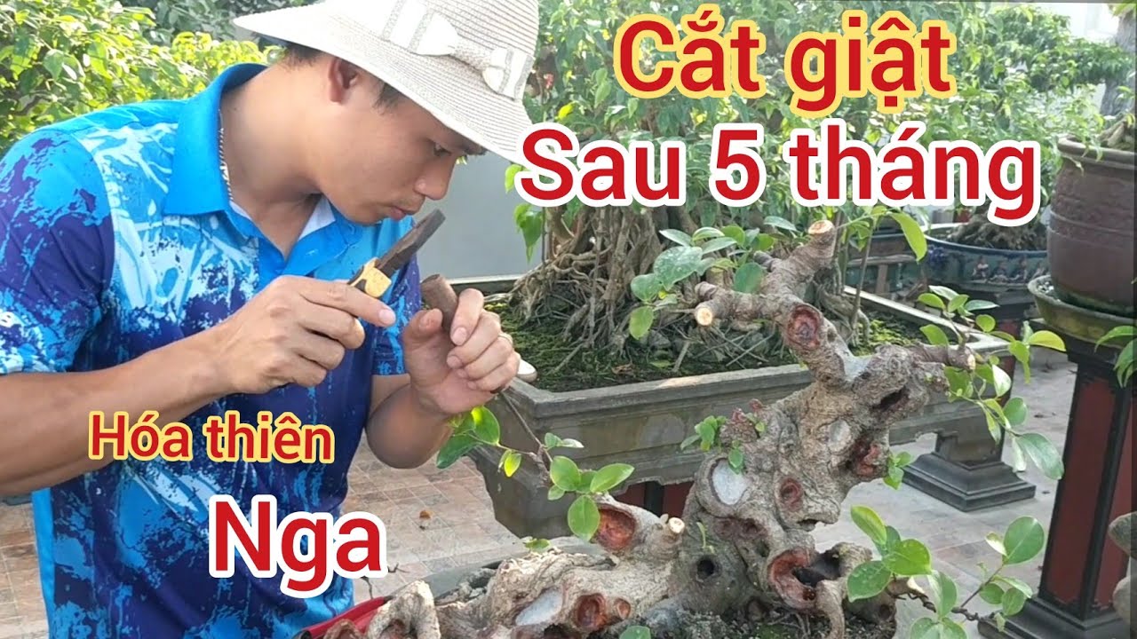 chỉ vài đường cắt giật tác phẩm đã trở lên đẹp hơn hỏi đổi con xe đạp mĩ 25 triệu 9x không nhận lời