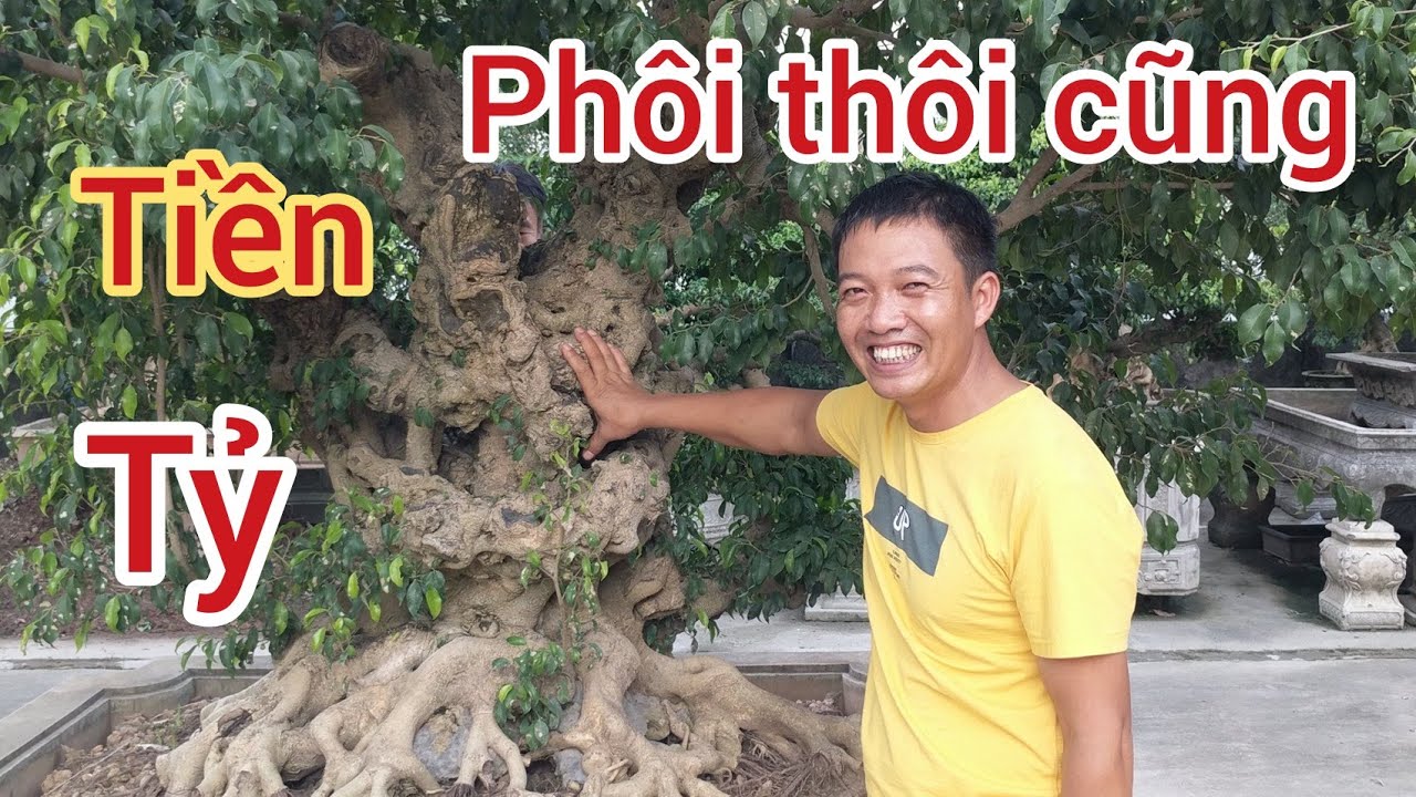 chia sẻ những tác phẩm quý trong căn biệt thự thự của chú thoan văn giang mà không muốn về