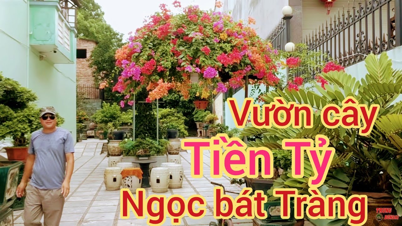 choáng ngợp với vườn cây tiền Tỷ của anh ngọc bát Tràng rất nhiều tác phẩm đẹp và giá trị