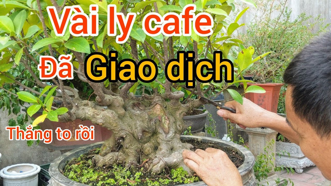 chưa uống song ly cafe đao phủ hồng đã giao dịch song phôi quý về nhà chỉnh sửa lại mà thấy choáng