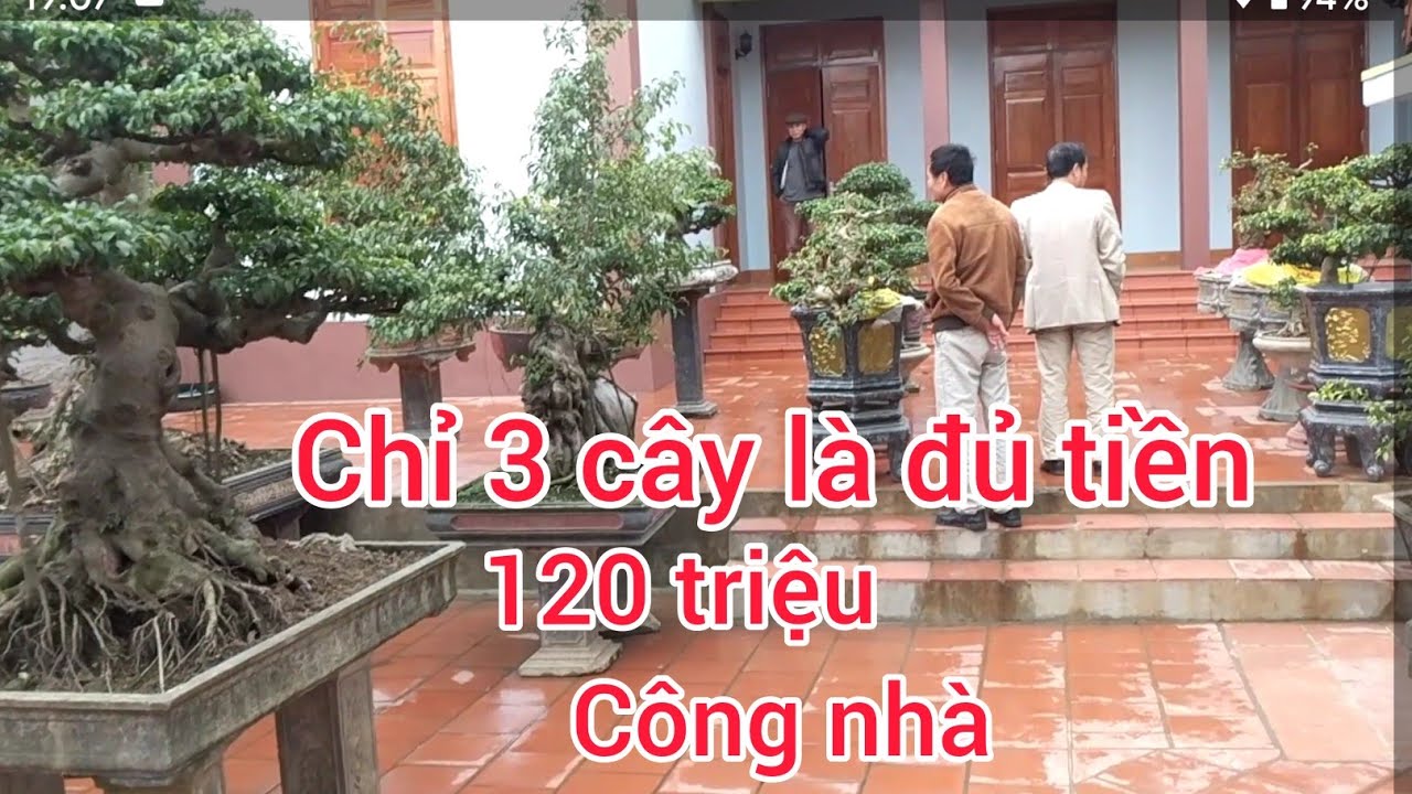 cuối năm giao dịch 3 tác phẩm 120 triệu thầy giáo thanh và ngôi nhà mái thái đẹp mê ly