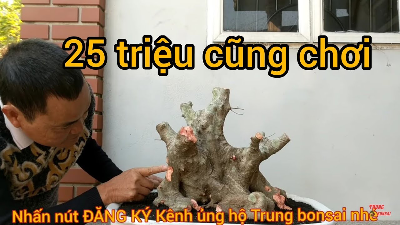 để không ai hỏi cắt về phôi đục đẽo gọt khách trả hẳn 25 củ lãi quá