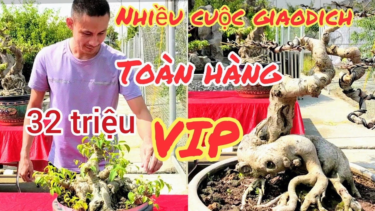 giao dịch nhiều tác phẩm đẹp VIP tại Ninh Bình cường trọc báo giá 1 vài tác phẩm anh em tham khảo