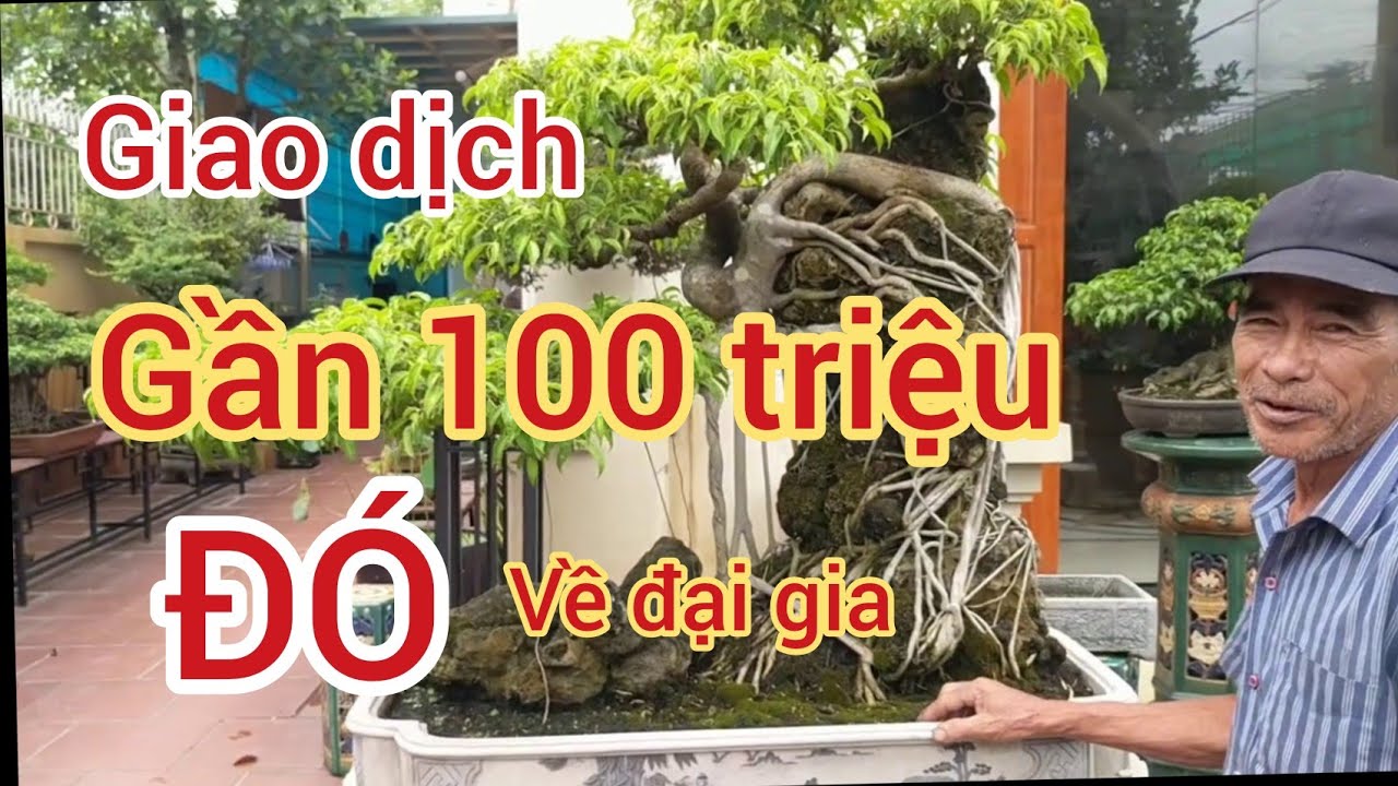 giao dịch quá nhanh tác phẩm nghệ thuật gần 100 triệu về tay đại gia mới