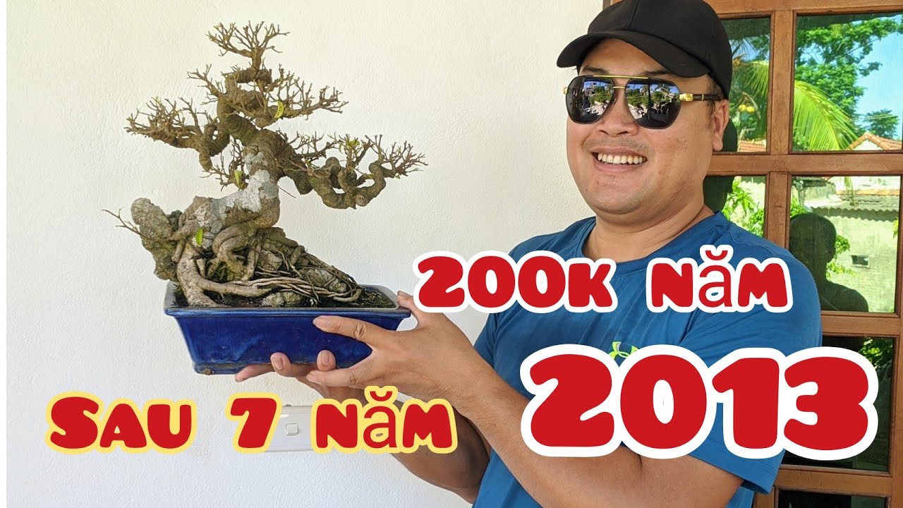 mua 200k cành già của ông cụ bắt rắn sau 7 năm vào tay nghệ nhân đã làm một tác phẩm