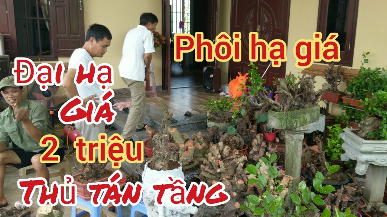 toàn phôi khủng hạ giá rẻ chỉ 1 hoặc 2 triệu đã có 1 em thủ tán tầng hoặc Si ngoài mong đợi