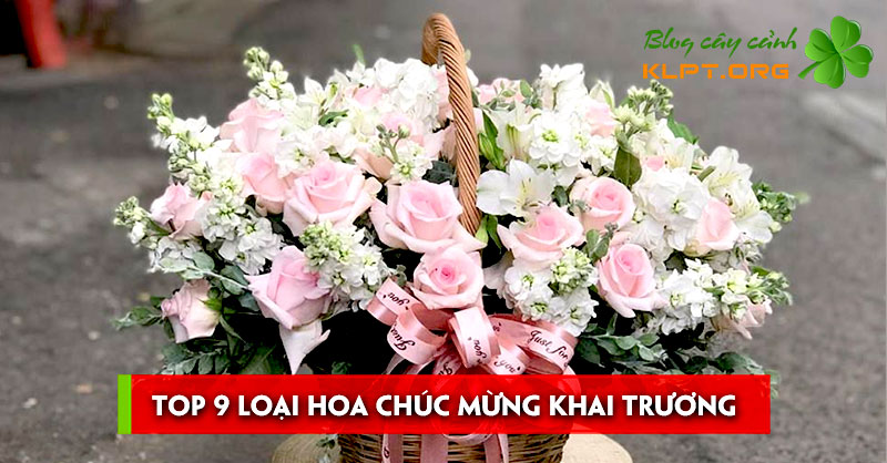 top-9-loai-hoa-chuc-mung-khai-truong-1