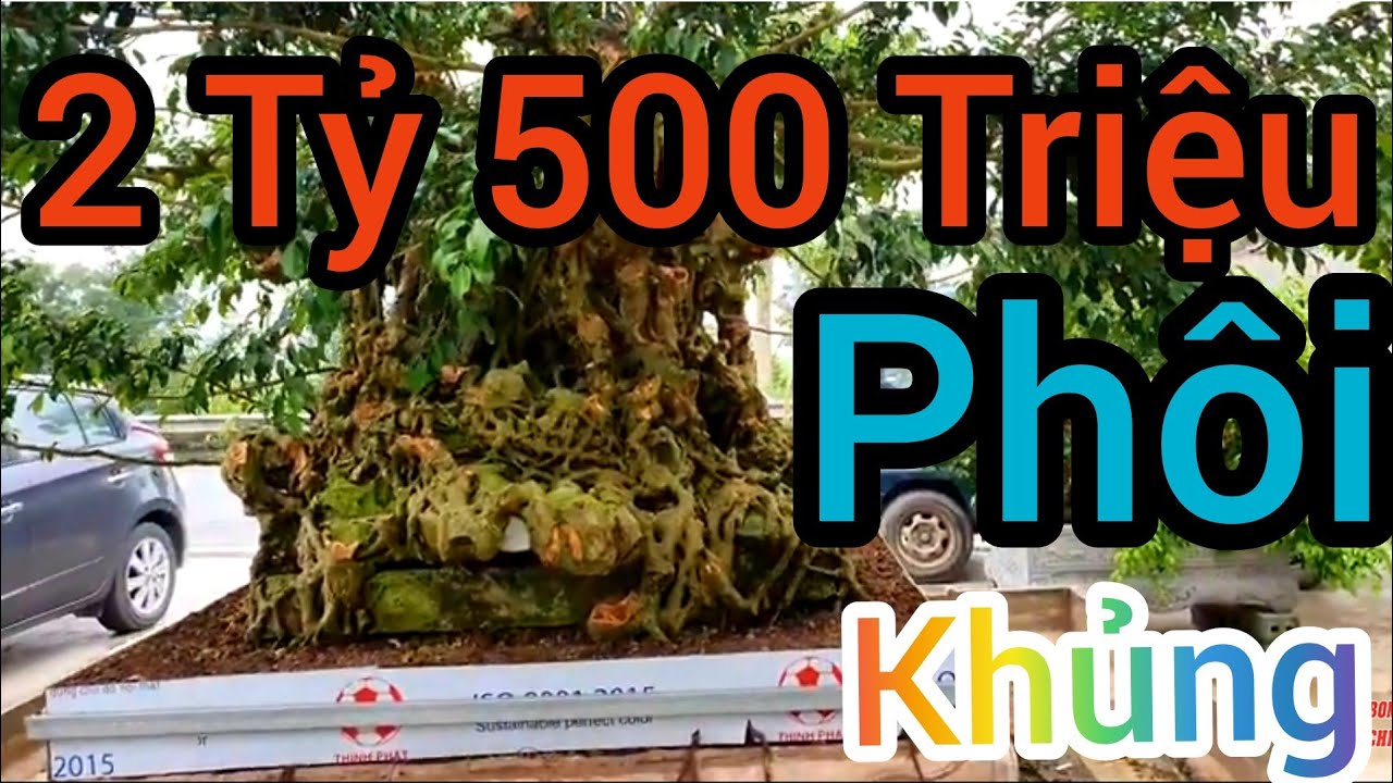 2 Tỷ 500 Triệu mới có thể sở hữu được phôi Nam Điền Khổng lồ và rất nhiều phôi tiền trăm.