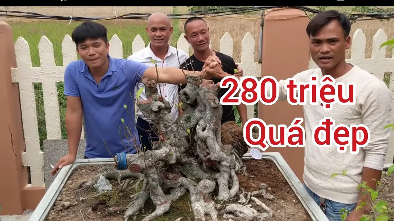 20 cuộc giao dịch tại vườn triệu Bùi video không thể bỏ qua